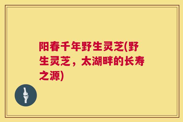 阳春千年野生灵芝(野生灵芝，太湖畔的长寿之源)