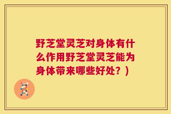 野芝堂灵芝对身体有什么作用野芝堂灵芝能为身体带来哪些好处？)