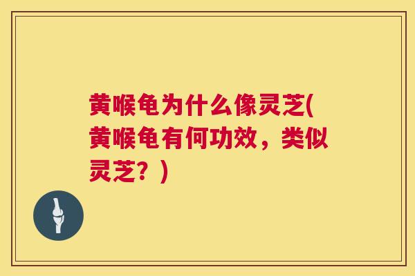 黄喉龟为什么像灵芝(黄喉龟有何功效，类似灵芝？)