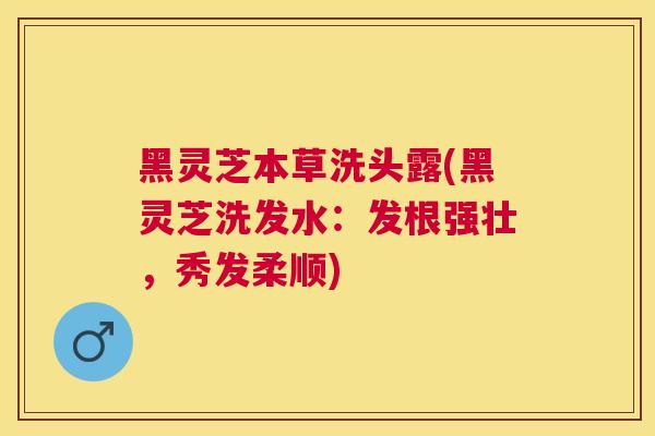 黑灵芝本草洗头露(黑灵芝洗发水：发根强壮，秀发柔顺)