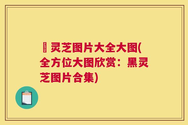 黒灵芝图片大全大图(全方位大图欣赏：黑灵芝图片合集)