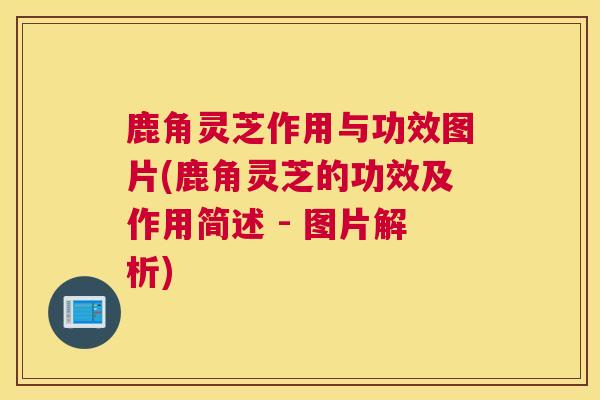 鹿角灵芝作用与功效图片(鹿角灵芝的功效及作用简述 - 图片解析)