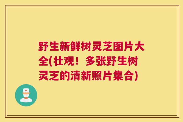 野生新鲜树灵芝图片大全(壮观！多张野生树灵芝的清新照片集合)