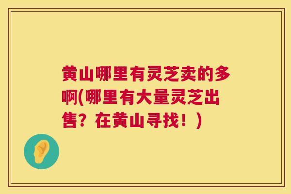 黄山哪里有灵芝卖的多啊(哪里有大量灵芝出售？在黄山寻找！)