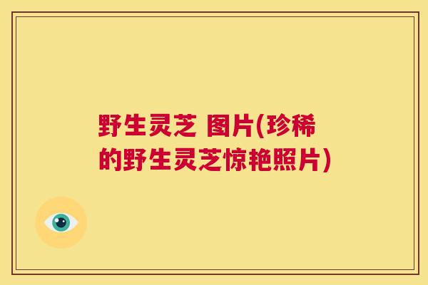 野生灵芝 图片(珍稀的野生灵芝惊艳照片)