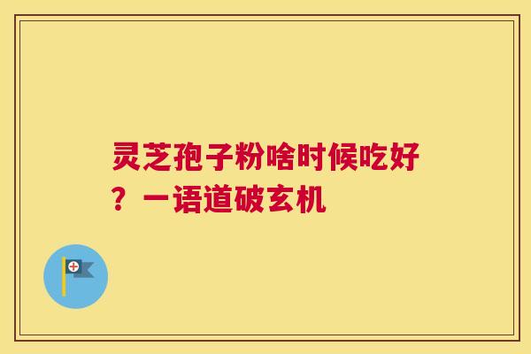 灵芝孢子粉啥时候吃好？一语道破玄机