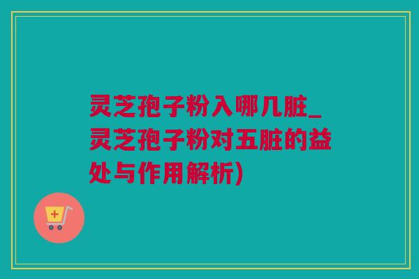 灵芝孢子粉入哪几脏_灵芝孢子粉对五脏的益处与作用解析) 灵芝孢子粉入哪几脏_灵芝孢子粉对五脏的益处与作用解析)