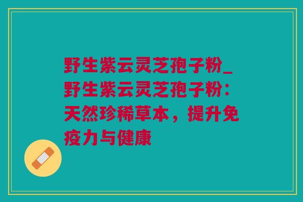 野生紫云灵芝孢子粉_野生紫云灵芝孢子粉：天然珍稀草本，提升免疫力与健康