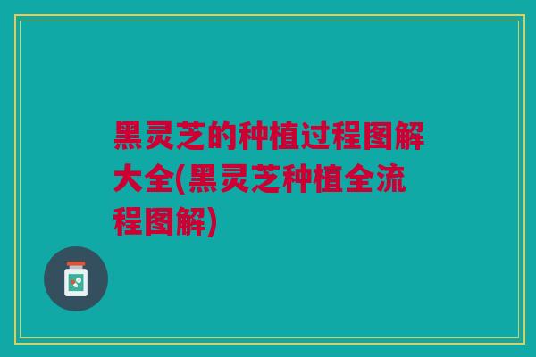 黑灵芝的种植过程图解大全(黑灵芝种植全流程图解)