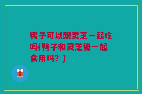 鸭子可以跟灵芝一起吃吗(鸭子和灵芝能一起食用吗？)