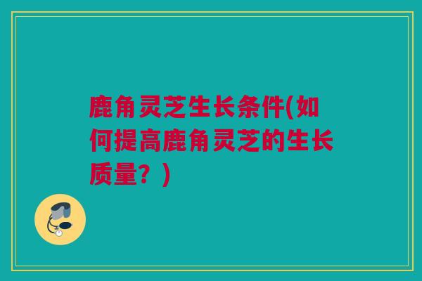 鹿角灵芝生长条件(如何提高鹿角灵芝的生长质量？)