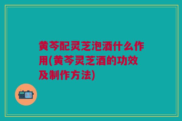 黄芩配灵芝泡酒什么作用(黄芩灵芝酒的功效及制作方法)