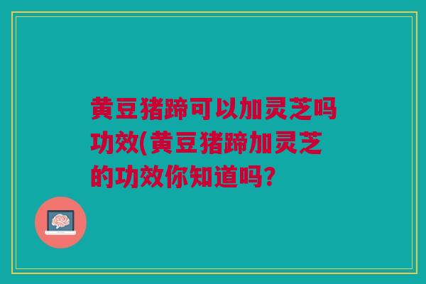 黄豆猪蹄可以加灵芝吗功效(黄豆猪蹄加灵芝的功效你知道吗？