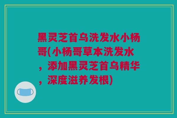 黑灵芝首乌洗发水小杨哥(小杨哥草本洗发水，添加黑灵芝首乌精华，深度滋养发根)