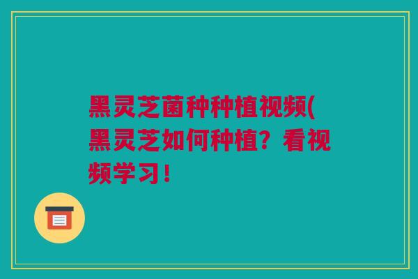 黑灵芝菌种种植视频(黑灵芝如何种植？看视频学习！