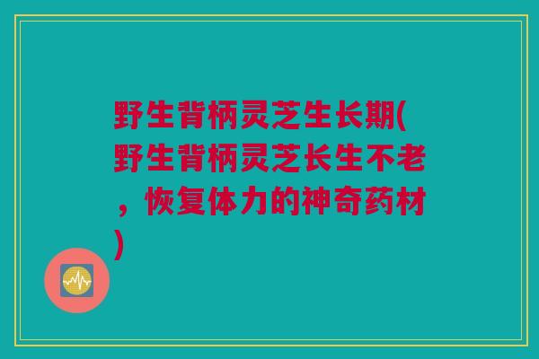 野生背柄灵芝生长期(野生背柄灵芝长生不老，恢复体力的神奇药材)