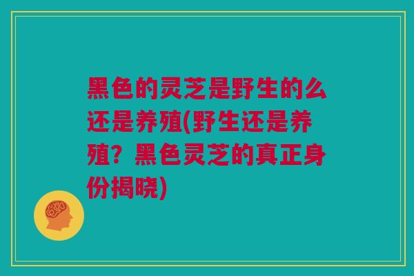 黑色的灵芝是野生的么还是养殖(野生还是养殖？黑色灵芝的真正身份揭晓)