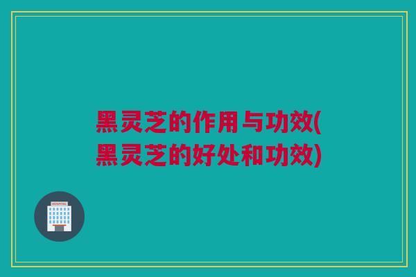 黑灵芝的作用与功效(黑灵芝的好处和功效)