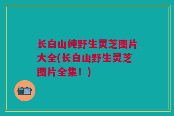 长白山纯野生灵芝图片大全(长白山野生灵芝图片全集！)