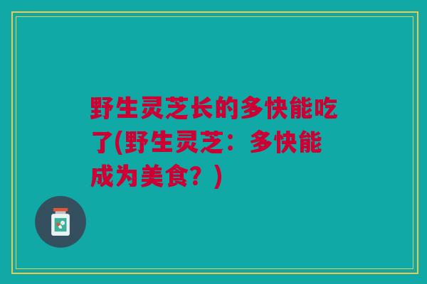 野生灵芝长的多快能吃了(野生灵芝：多快能成为美食？)