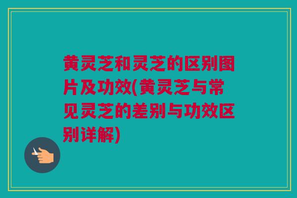 黄灵芝和灵芝的区别图片及功效(黄灵芝与常见灵芝的差别与功效区别详解)