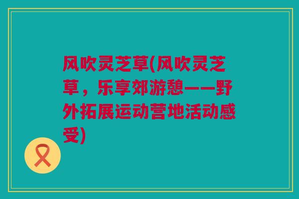风吹灵芝草(风吹灵芝草，乐享郊游憩——野外拓展运动营地活动感受)
