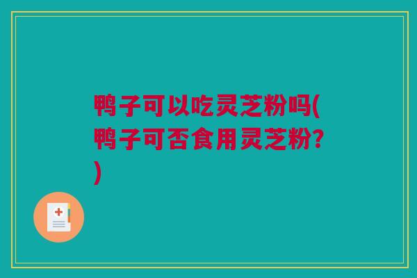 鸭子可以吃灵芝粉吗(鸭子可否食用灵芝粉？)