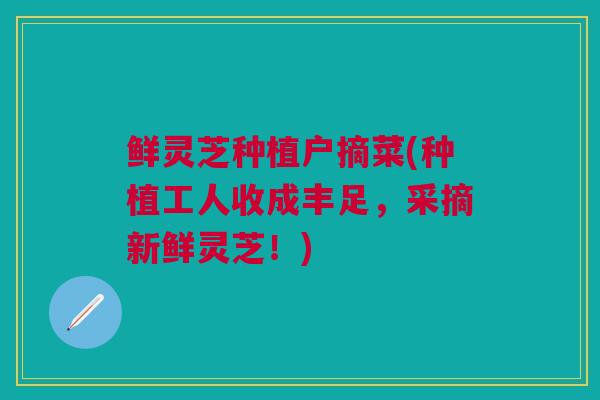 鲜灵芝种植户摘菜(种植工人收成丰足，采摘新鲜灵芝！)