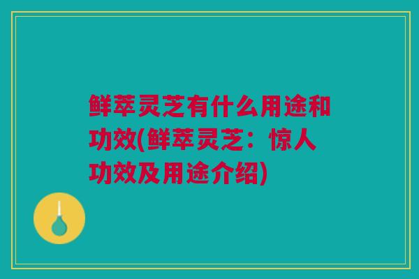 鲜萃灵芝有什么用途和功效(鲜萃灵芝:惊人功效及用途介绍) 鲜萃灵芝有什么用途和功效(鲜萃灵芝:惊人功效及用途介绍)