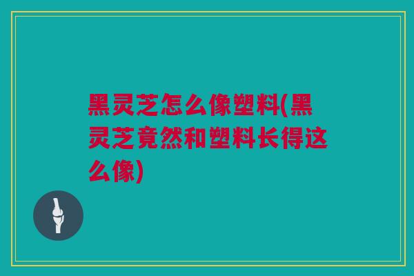 黑灵芝怎么像塑料(黑灵芝竟然和塑料长得这么像)