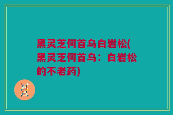 黑灵芝何首乌白岩松(黑灵芝何首乌：白岩松的不老药)