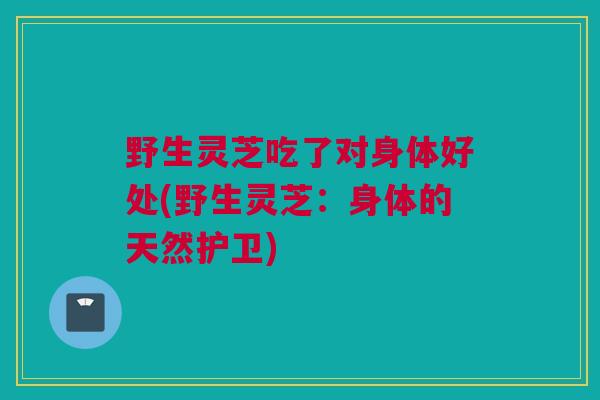 野生灵芝吃了对身体好处(野生灵芝：身体的天然护卫)