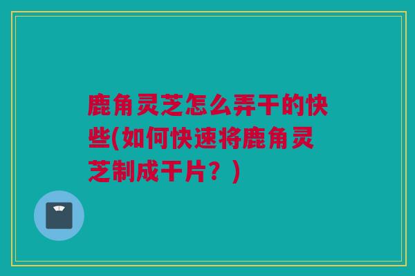 鹿角灵芝怎么弄干的快些(如何快速将鹿角灵芝制成干片？)