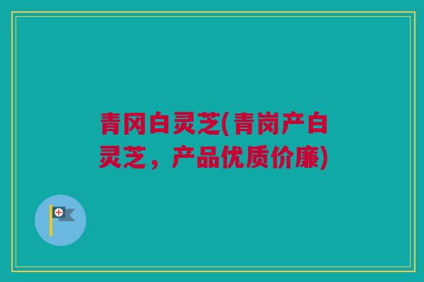 青冈白灵芝(青岗产白灵芝，产品优质价廉)