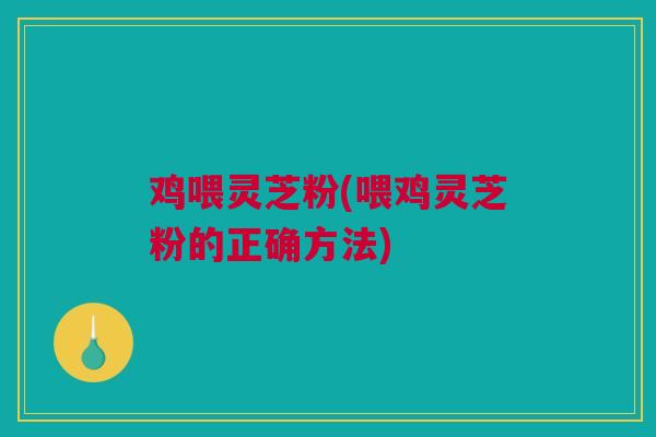 鸡喂灵芝粉(喂鸡灵芝粉的正确方法)