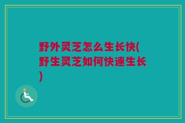野外灵芝怎么生长快(野生灵芝如何快速生长)