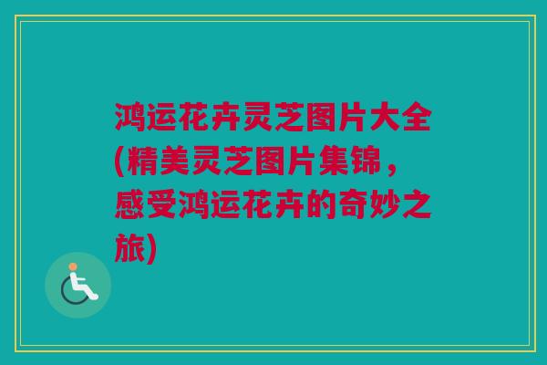 鸿运花卉灵芝图片大全(精美灵芝图片集锦，感受鸿运花卉的奇妙之旅)
