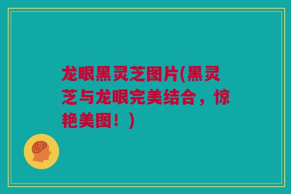 龙眼黑灵芝图片(黑灵芝与龙眼完美结合，惊艳美图！)