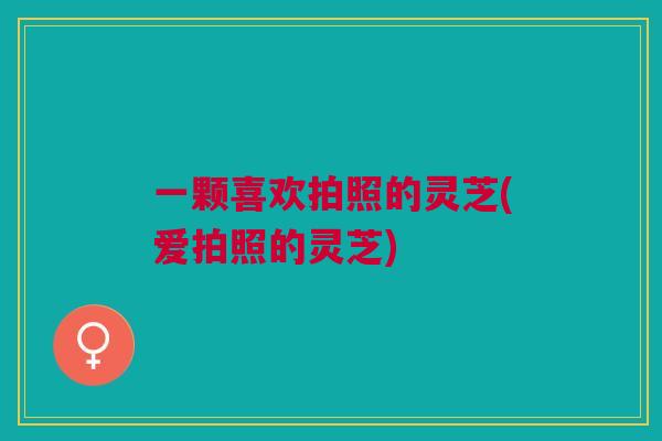 一颗喜欢拍照的灵芝(爱拍照的灵芝)
