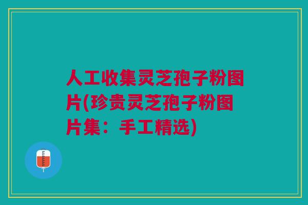 人工收集灵芝孢子粉图片(珍贵灵芝孢子粉图片集：手工精选)
