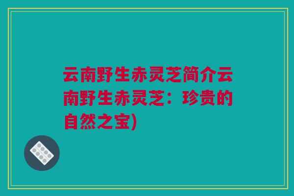 云南野生赤灵芝简介云南野生赤灵芝:珍贵的自然之宝) 云南野生赤灵芝简介云南野生赤灵芝:珍贵的自然之宝)