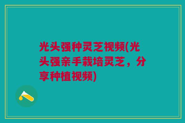 光头强种灵芝视频(光头强亲手栽培灵芝，分享种植视频)