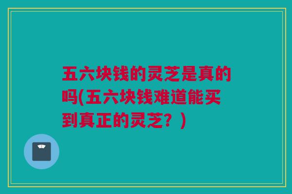 五六块钱的灵芝是真的吗(五六块钱难道能买到真正的灵芝？)