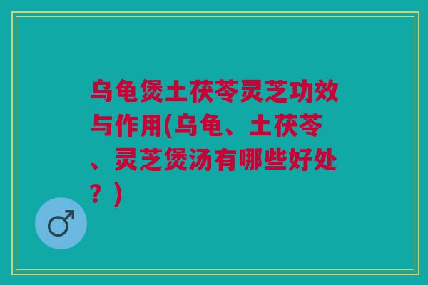 乌龟煲土茯苓灵芝功效与作用(乌龟、土茯苓、灵芝煲汤有哪些好处？)