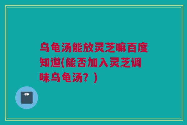 乌龟汤能放灵芝嘛百度知道(能否加入灵芝调味乌龟汤？)