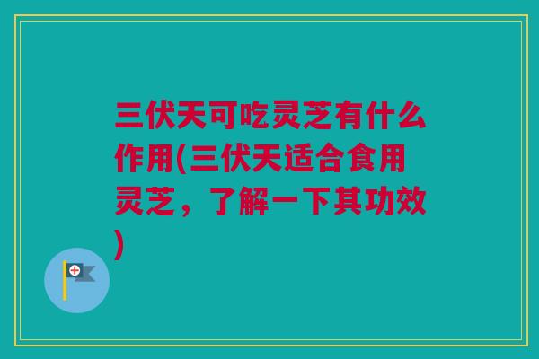 三伏天可吃灵芝有什么作用(三伏天适合食用灵芝,了解一下其功效) 三伏天可吃灵芝有什么作用(三伏天适合食用灵芝,了解一下其功效)