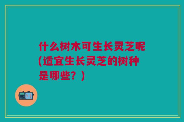 什么树木可生长灵芝呢(适宜生长灵芝的树种是哪些?) 什么树木可生长灵芝呢(适宜生长灵芝的树种是哪些?)