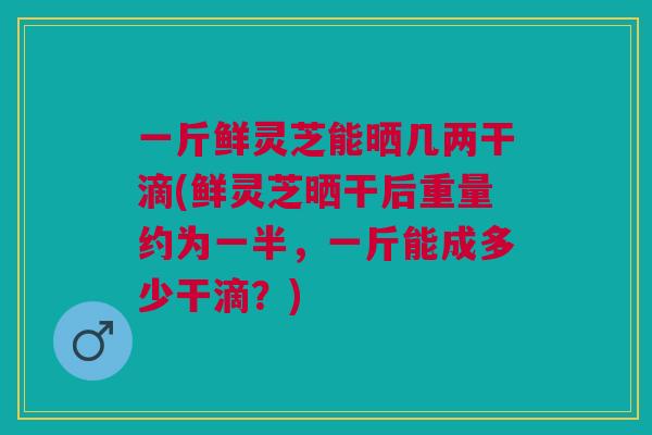 一斤鲜灵芝能晒几两干滴(鲜灵芝晒干后重量约为一半,一斤能成多少干滴?)