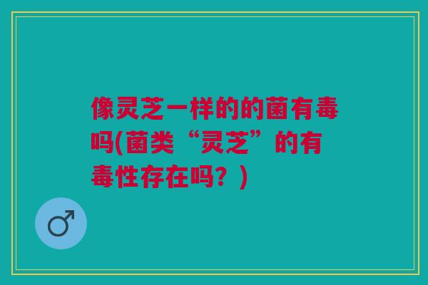 像灵芝一样的的菌有毒吗(菌类“灵芝”的有毒性存在吗？)