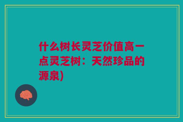 什么树长灵芝价值高一点灵芝树:天然珍品的源泉)